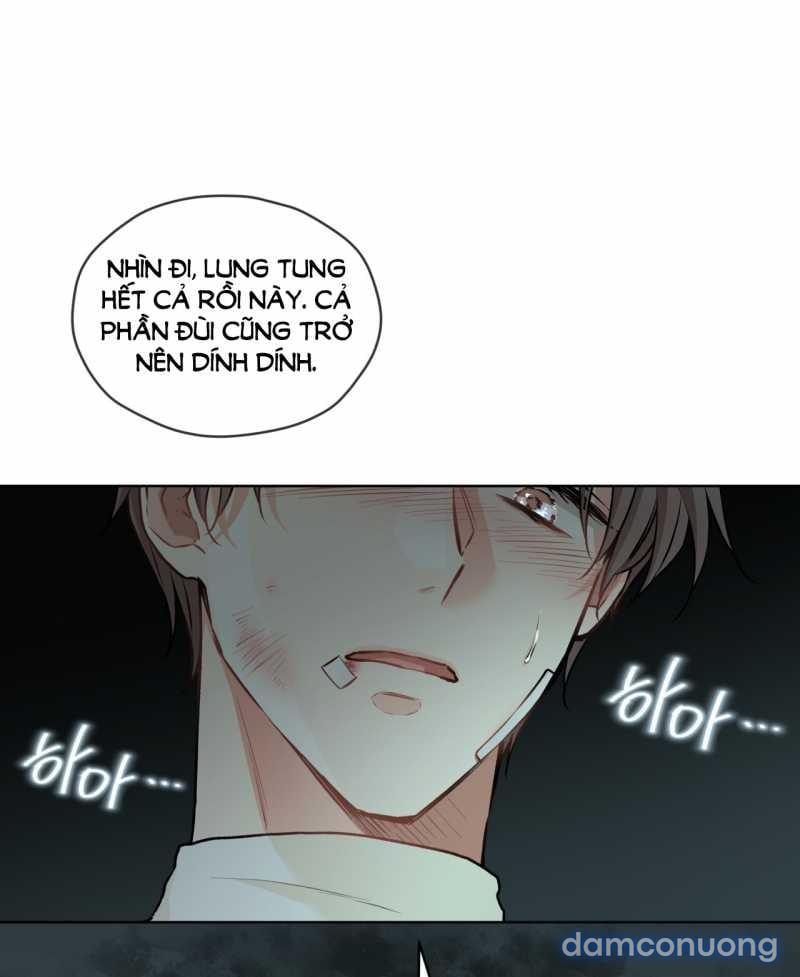 [18+] Trong Nhà Tôi Có Chuột 