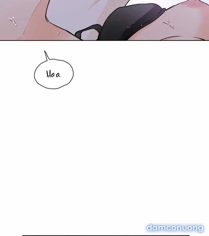 [18+] Trong Nhà Tôi Có Chuột 