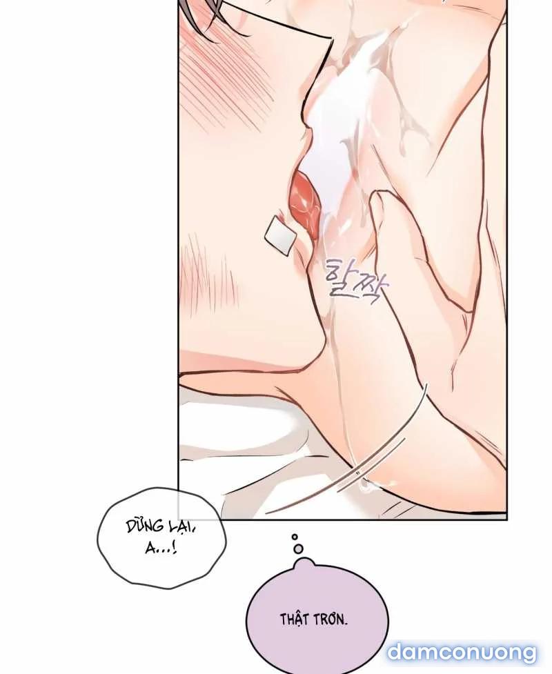 [18+] Trong Nhà Tôi Có Chuột 