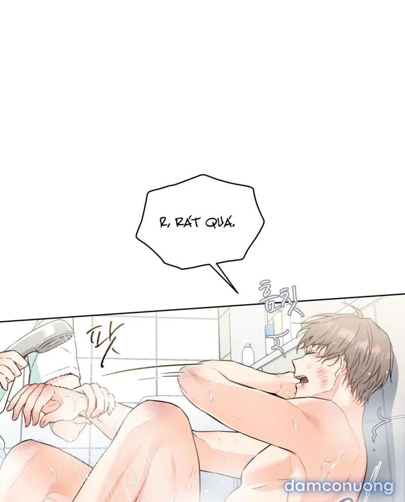 [18+] Trong Nhà Tôi Có Chuột 