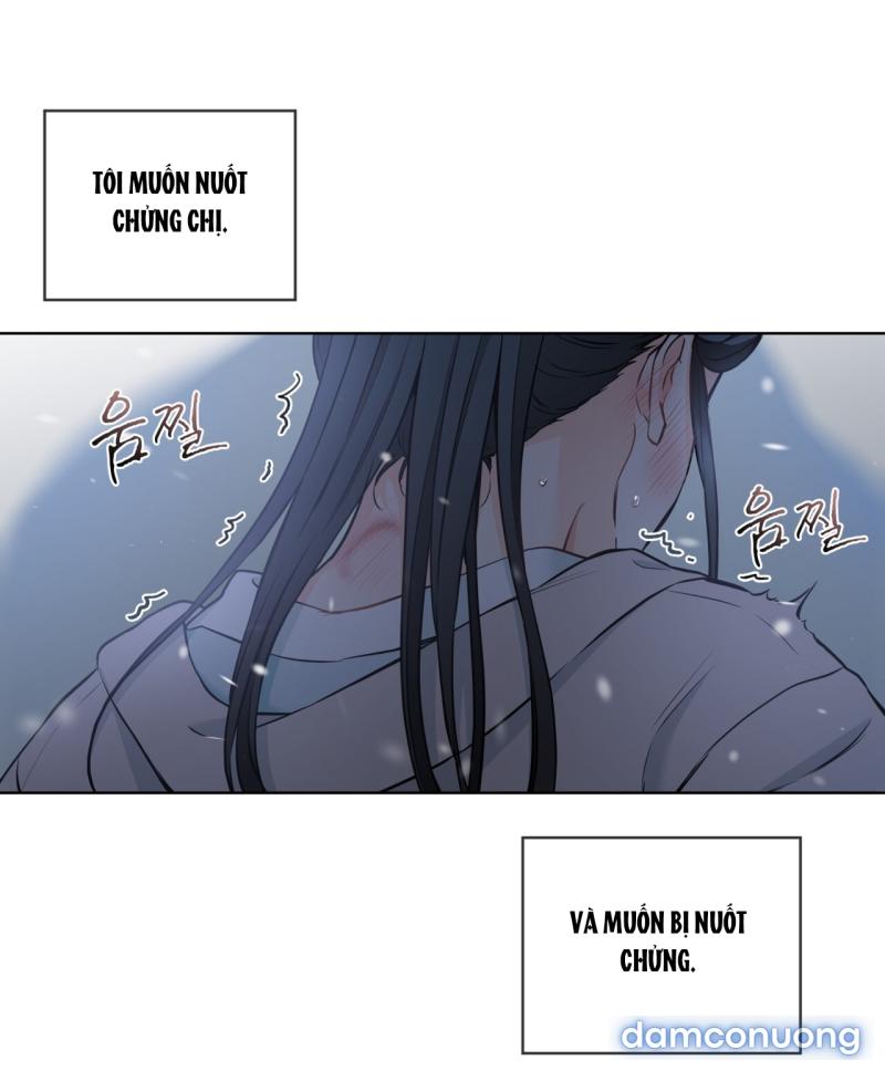[18+] Trong Nhà Tôi Có Chuột 