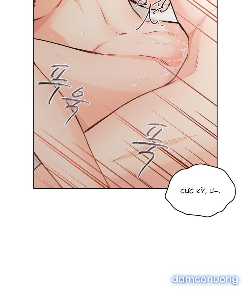 [18+] Trong Nhà Tôi Có Chuột 