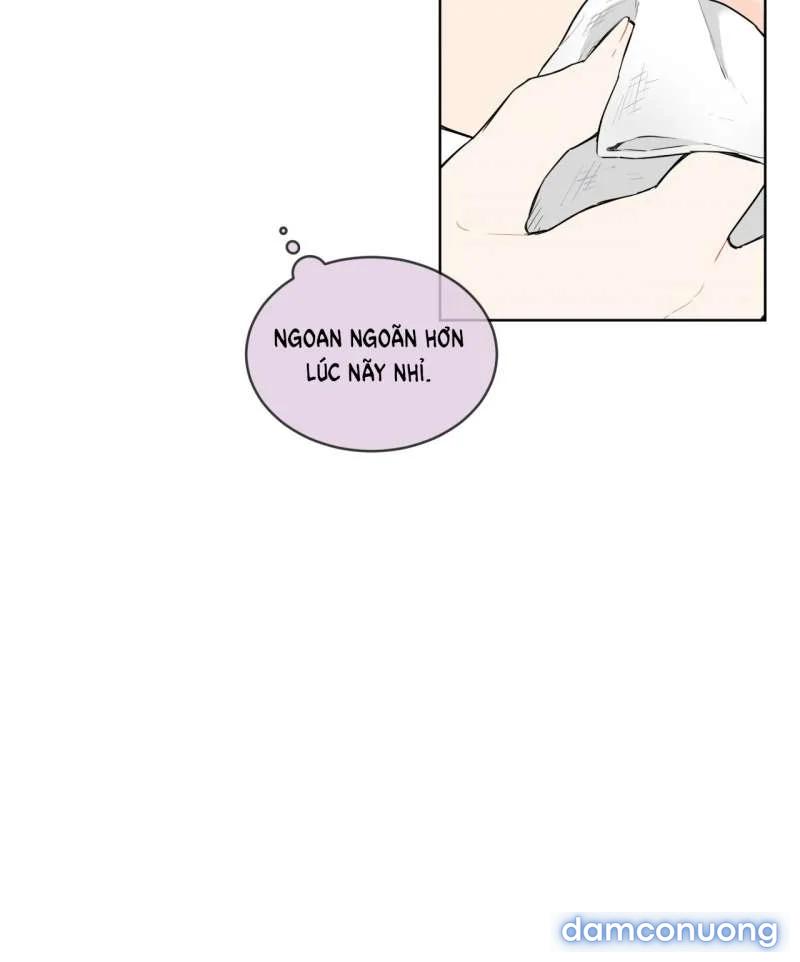 [18+] Trong Nhà Tôi Có Chuột 