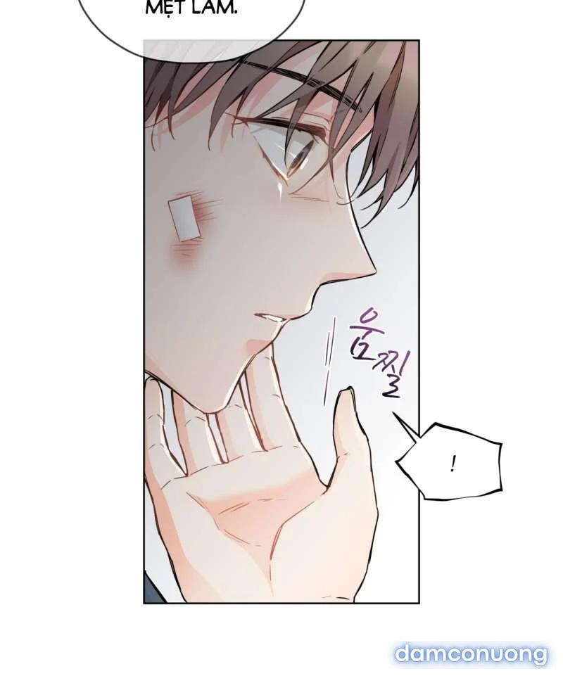[18+] Trong Nhà Tôi Có Chuột 