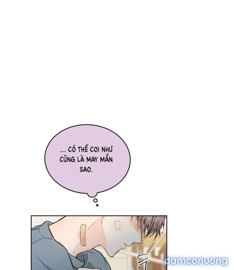 [18+] Trong Nhà Tôi Có Chuột 