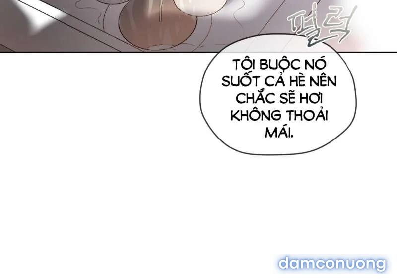 [18+] Trong Nhà Tôi Có Chuột 