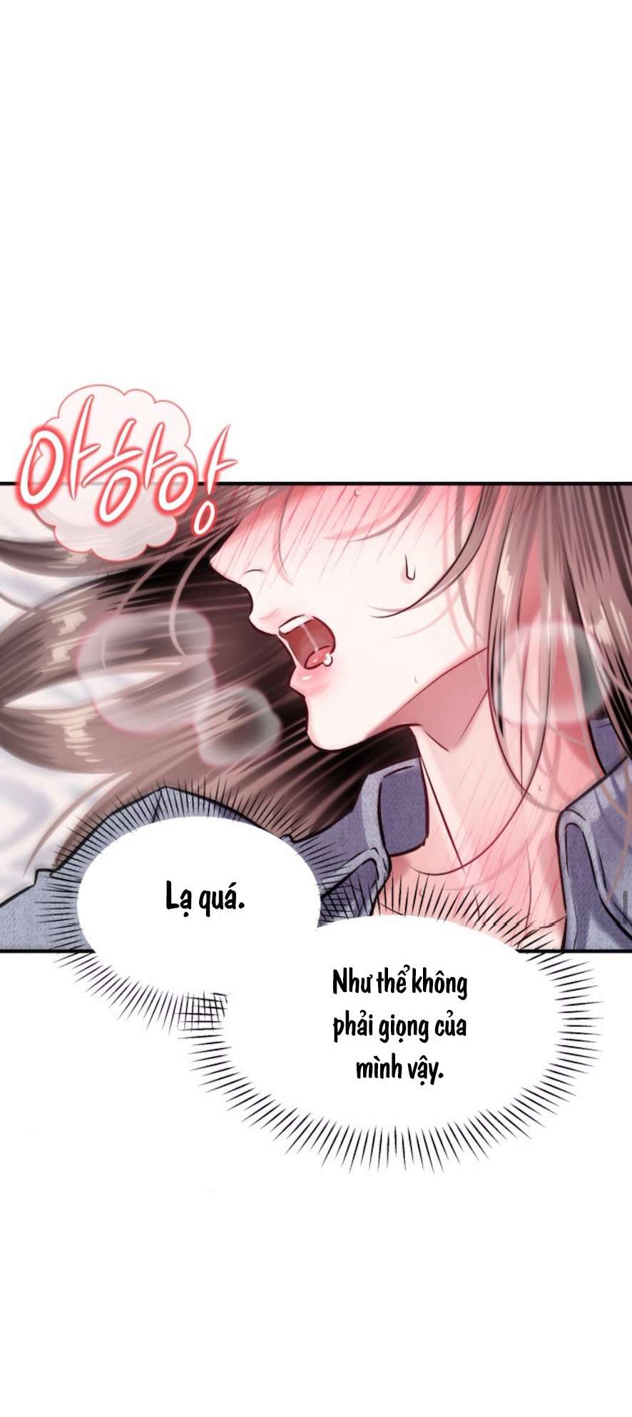 Sở Thích Bị Cai Trị 