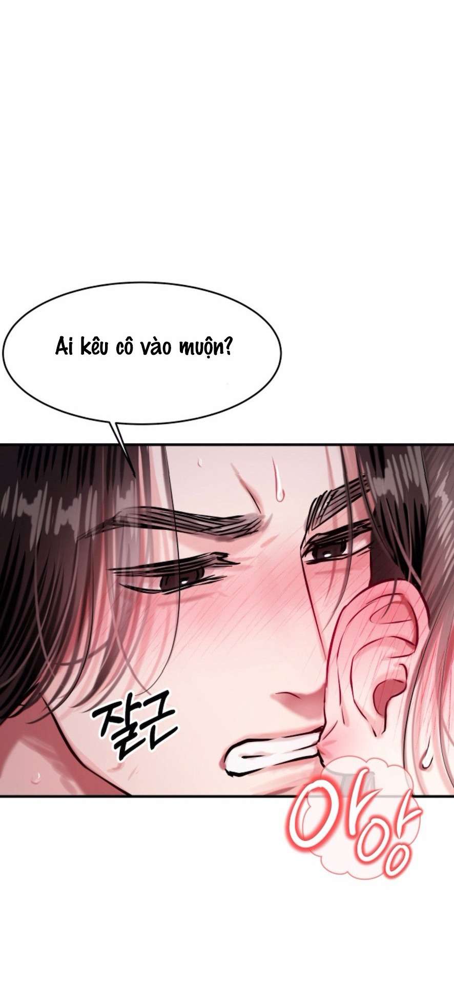 Sở Thích Bị Cai Trị 