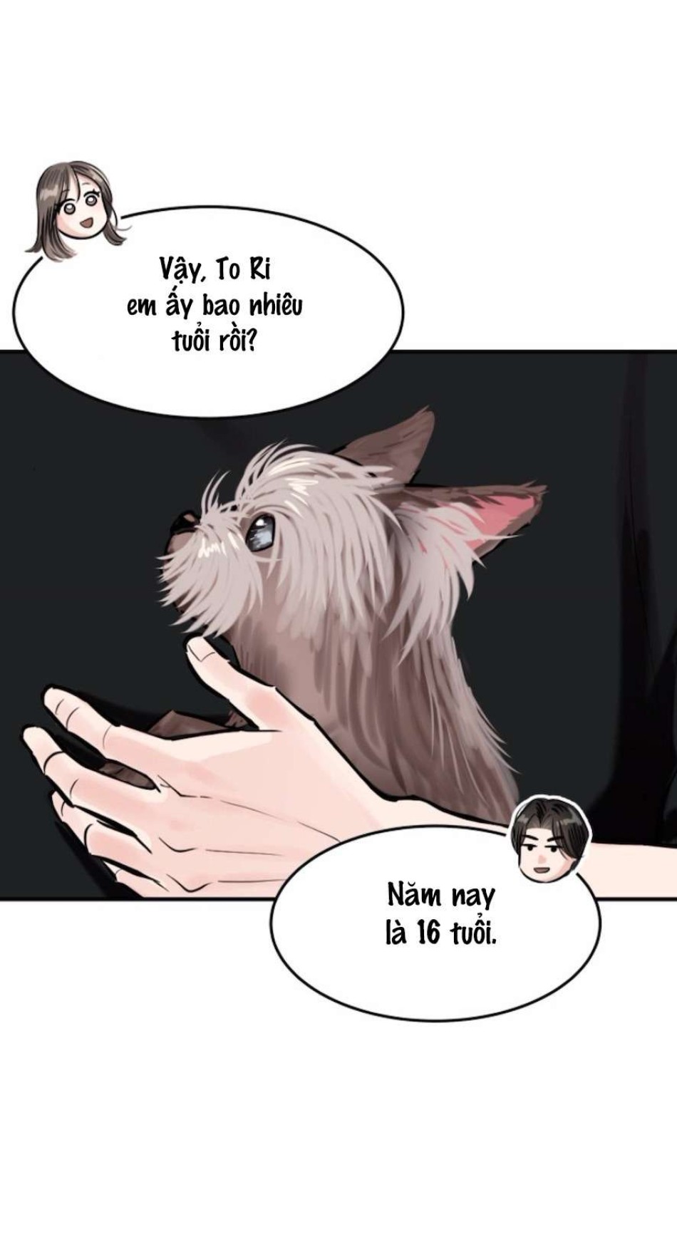 Sở Thích Bị Cai Trị 