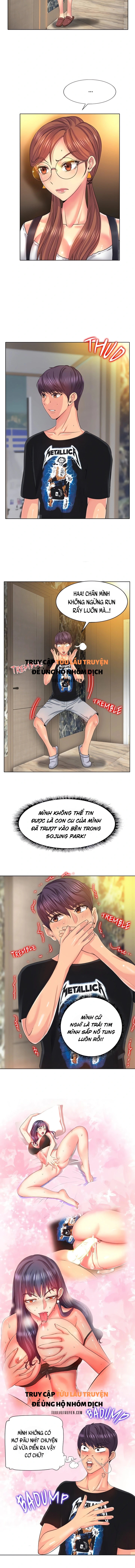 Cú Đánh Điểm 