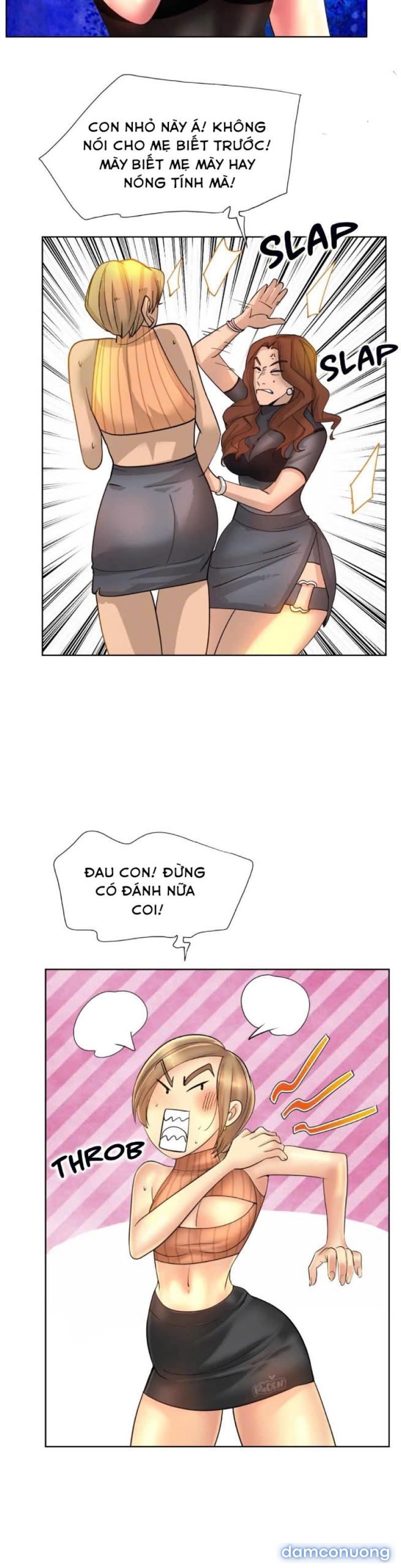 Cú Đánh Điểm 