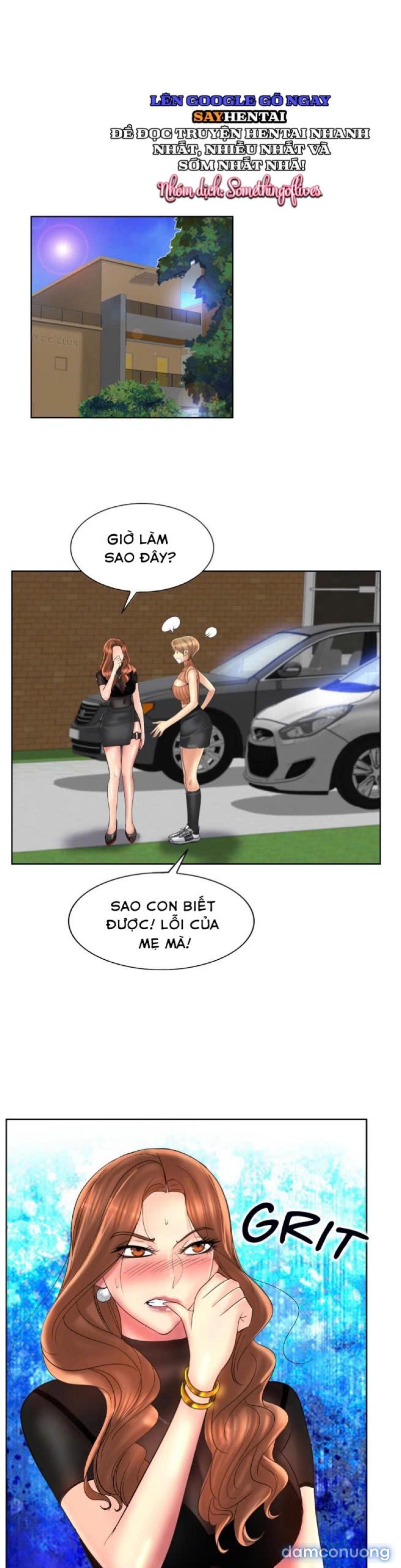 Cú Đánh Điểm 