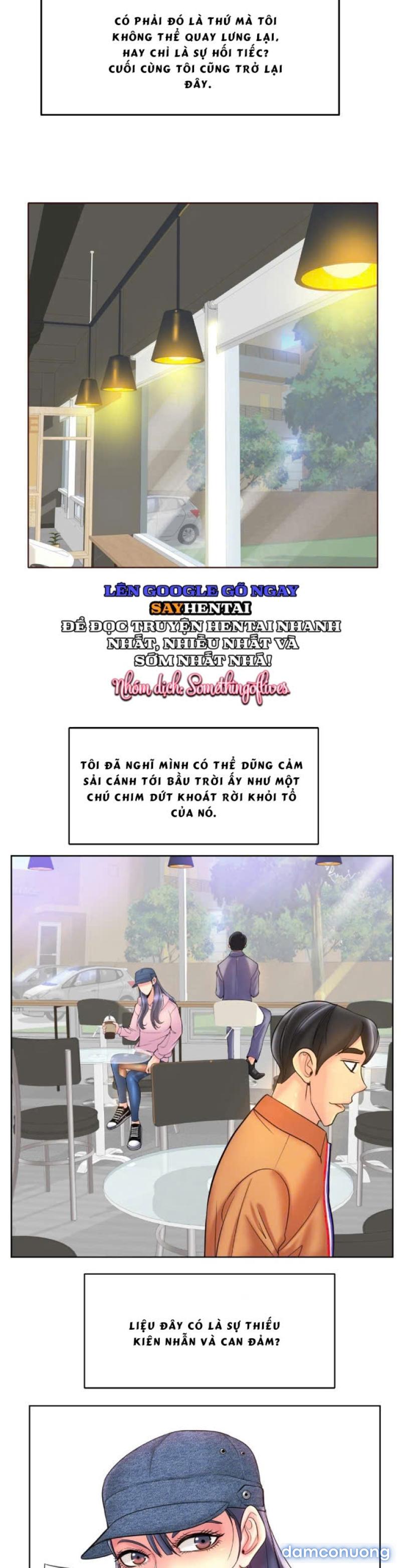 Cú Đánh Điểm 