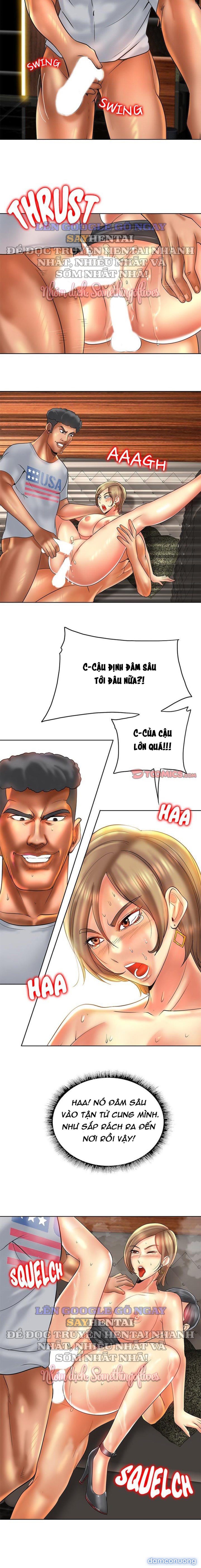 Cú Đánh Điểm 