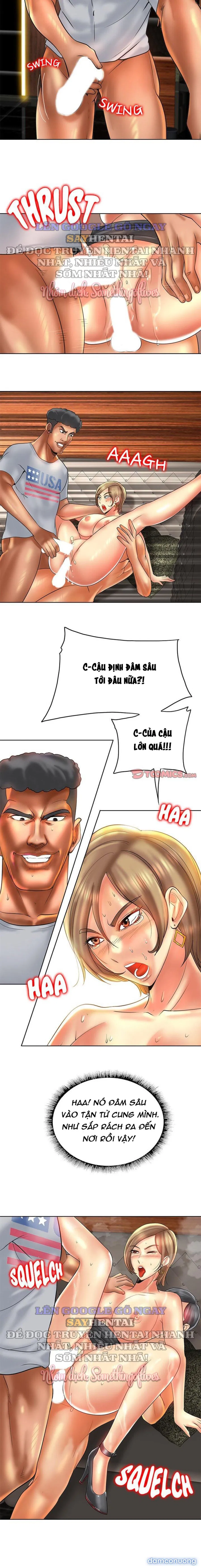 Cú Đánh Điểm 