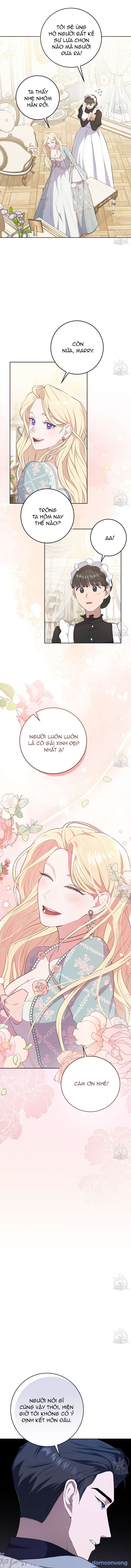 Xin Hãy Để Ý Tới Jasmine 