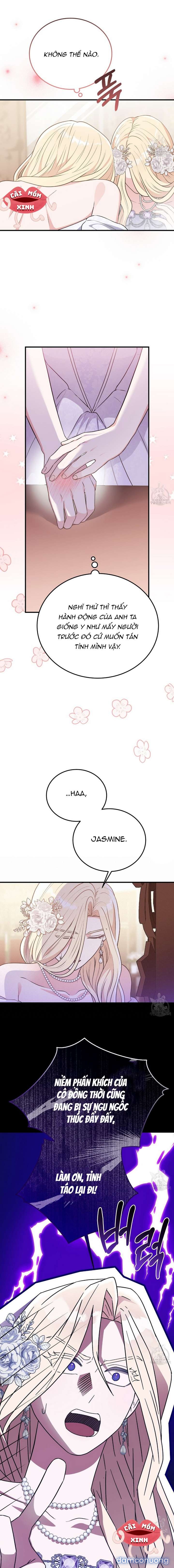 Xin Hãy Để Ý Tới Jasmine 
