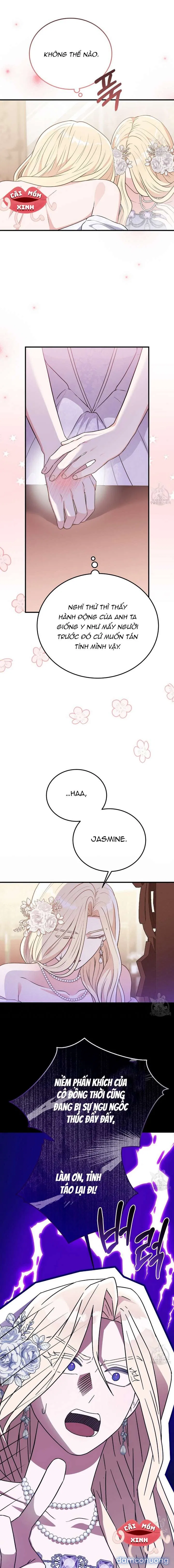Xin Hãy Để Ý Tới Jasmine 