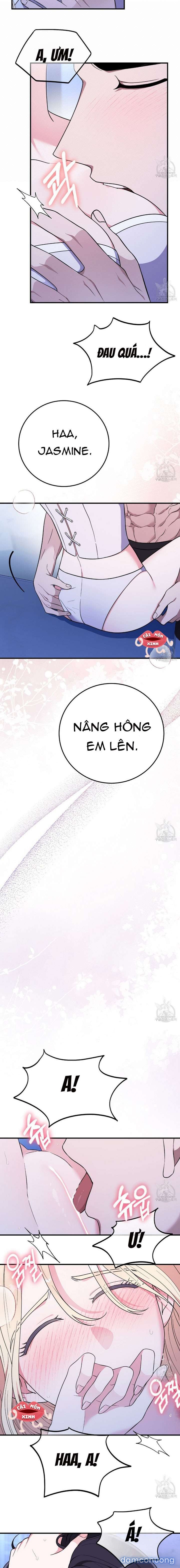 Xin Hãy Để Ý Tới Jasmine 