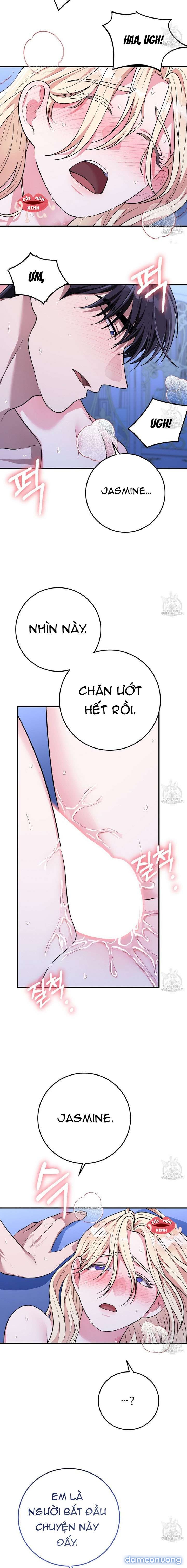 Xin Hãy Để Ý Tới Jasmine 