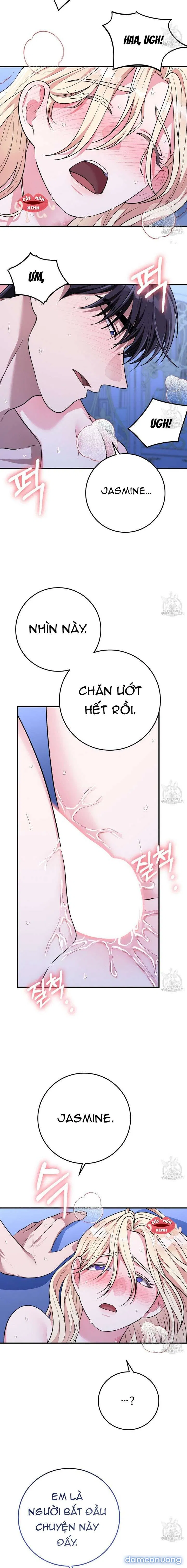 Xin Hãy Để Ý Tới Jasmine 