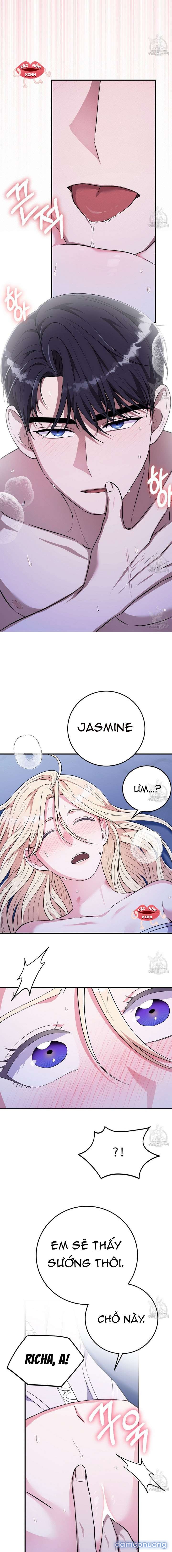 Xin Hãy Để Ý Tới Jasmine 