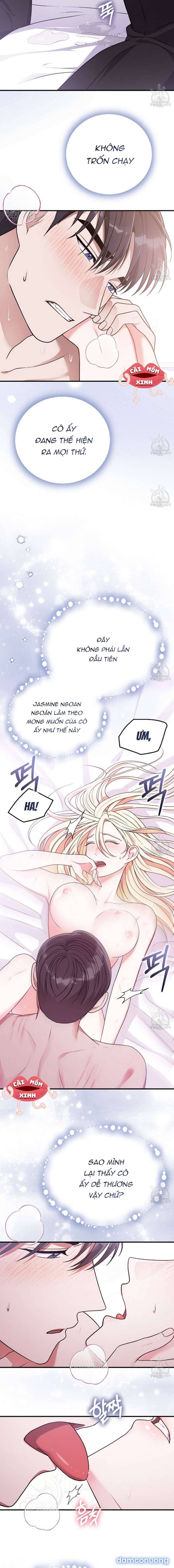 Xin Hãy Để Ý Tới Jasmine 