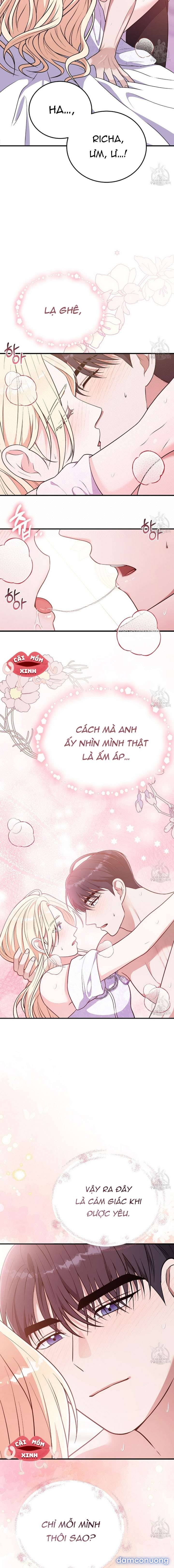 Xin Hãy Để Ý Tới Jasmine 