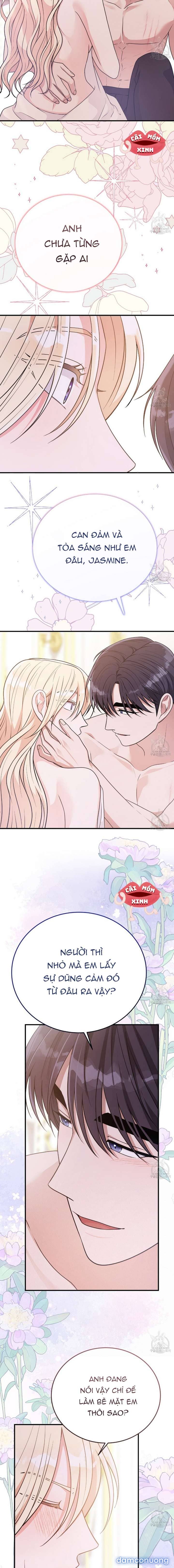 Xin Hãy Để Ý Tới Jasmine 