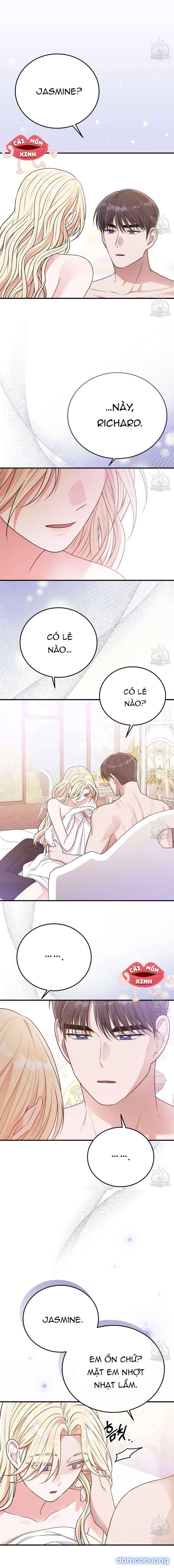 Xin Hãy Để Ý Tới Jasmine 