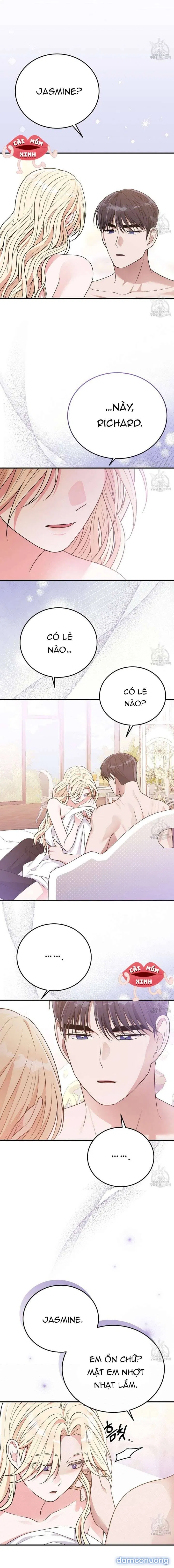 Xin Hãy Để Ý Tới Jasmine 
