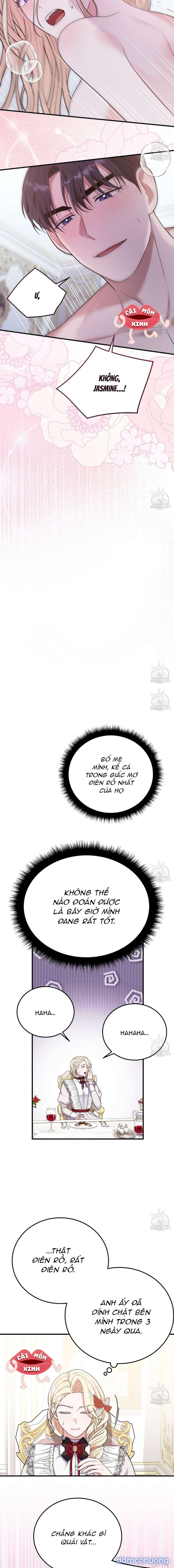 Xin Hãy Để Ý Tới Jasmine 