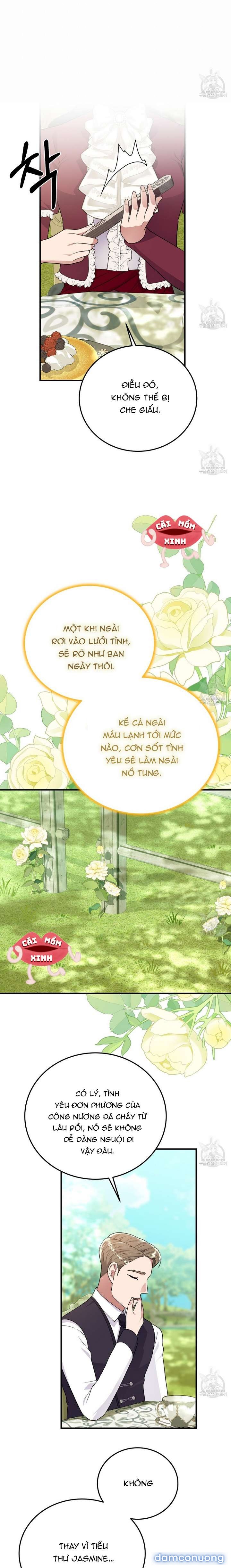 Xin Hãy Để Ý Tới Jasmine 