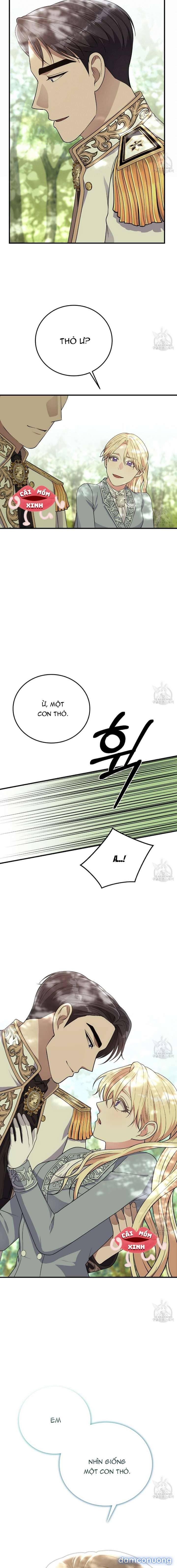 Xin Hãy Để Ý Tới Jasmine 