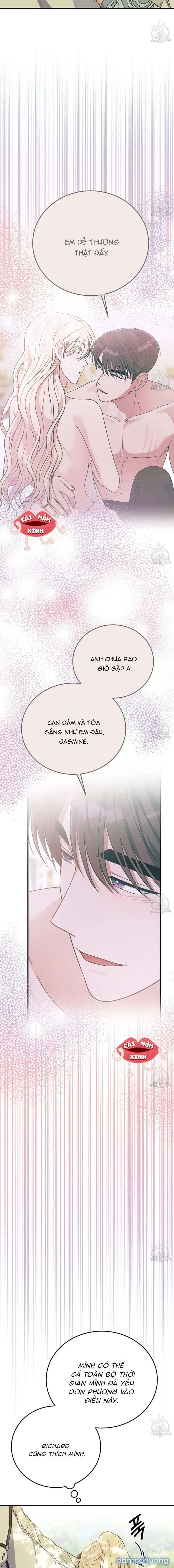 Xin Hãy Để Ý Tới Jasmine 