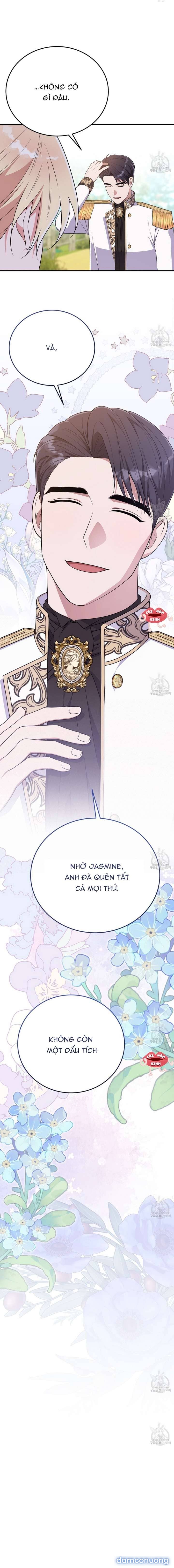 Xin Hãy Để Ý Tới Jasmine 