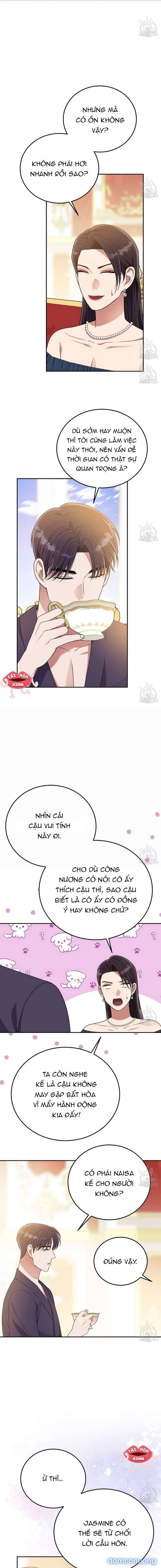 Xin Hãy Để Ý Tới Jasmine 