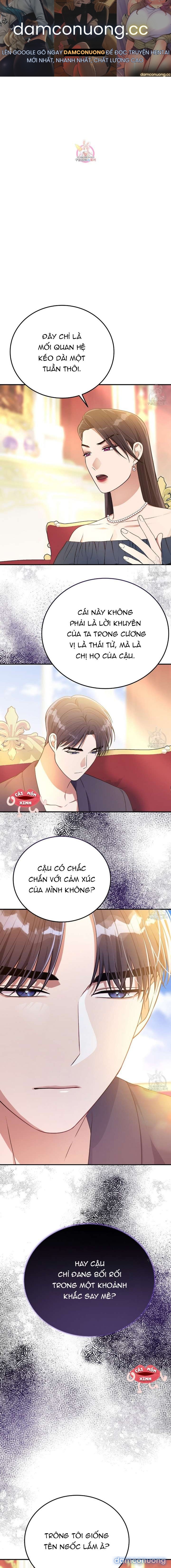 Xin Hãy Để Ý Tới Jasmine 