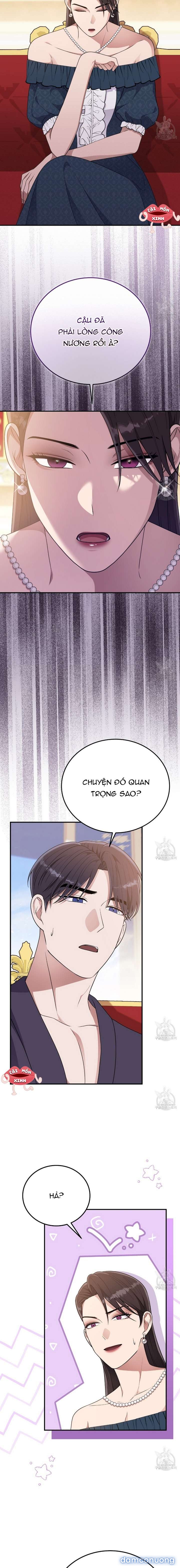Xin Hãy Để Ý Tới Jasmine 