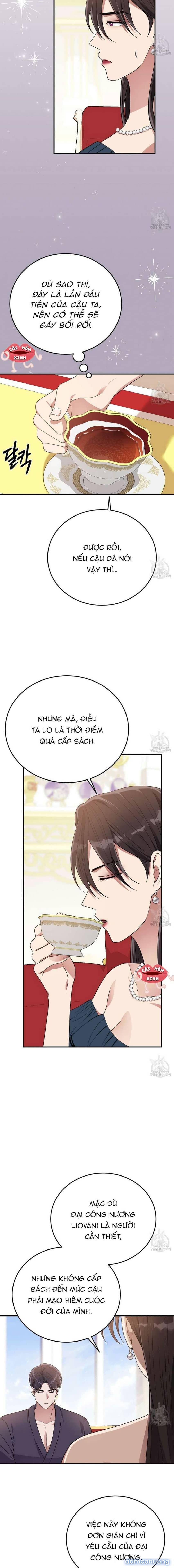 Xin Hãy Để Ý Tới Jasmine 
