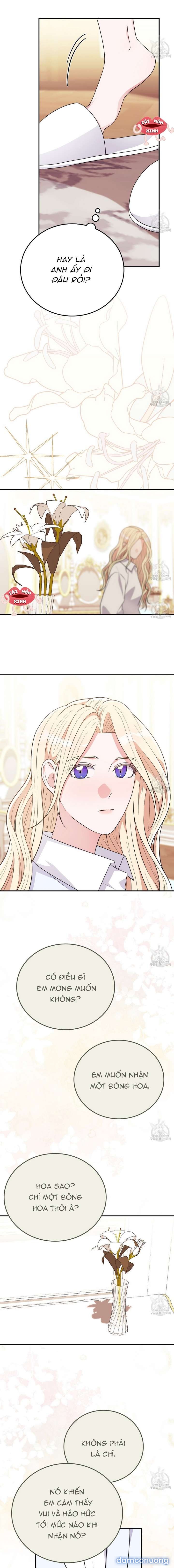 Xin Hãy Để Ý Tới Jasmine 