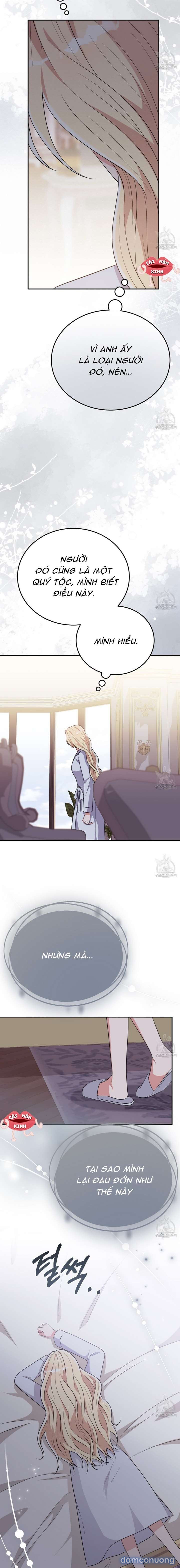 Xin Hãy Để Ý Tới Jasmine 