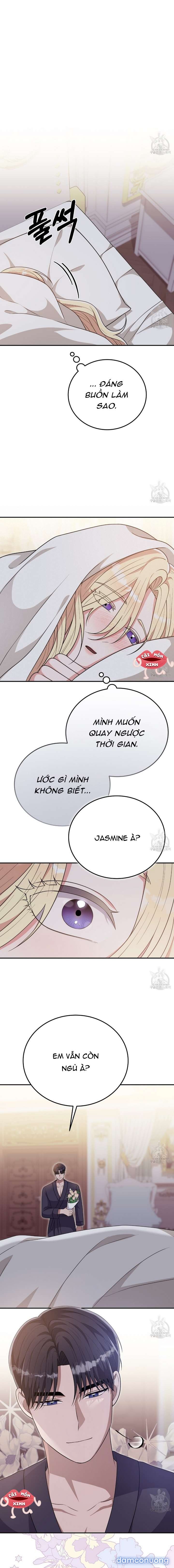 Xin Hãy Để Ý Tới Jasmine 