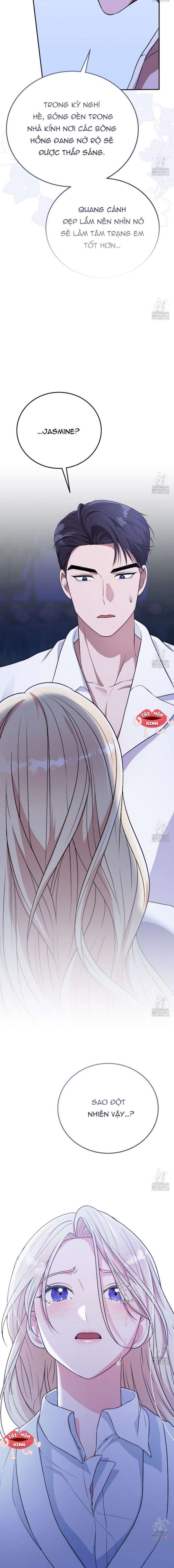 Xin Hãy Để Ý Tới Jasmine 