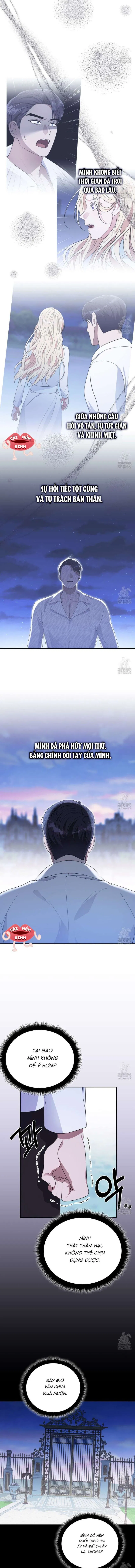 Xin Hãy Để Ý Tới Jasmine 