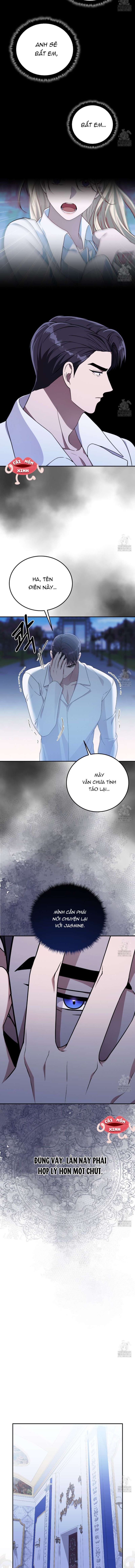 Xin Hãy Để Ý Tới Jasmine 