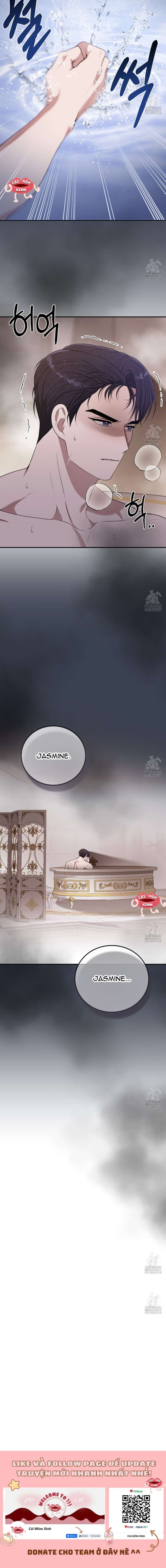 Xin Hãy Để Ý Tới Jasmine 