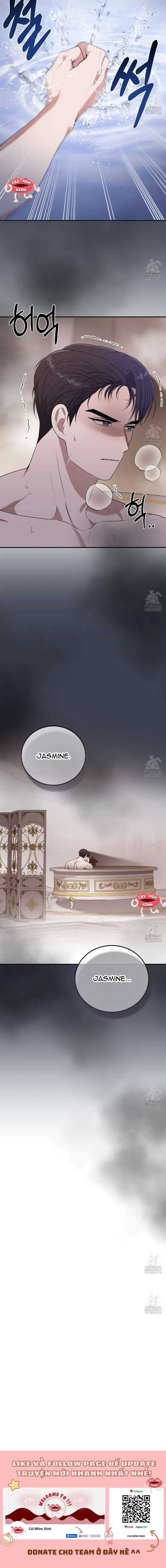 Xin Hãy Để Ý Tới Jasmine 