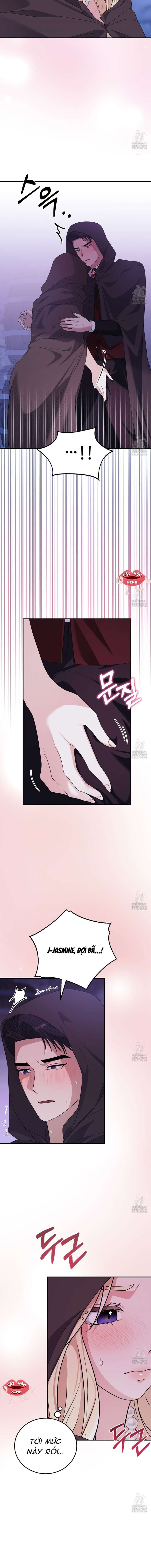 Xin Hãy Để Ý Tới Jasmine 