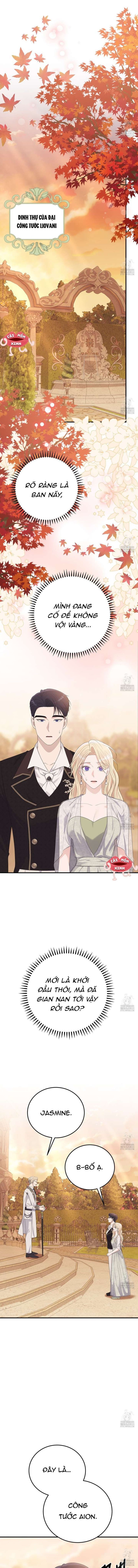 Xin Hãy Để Ý Tới Jasmine 